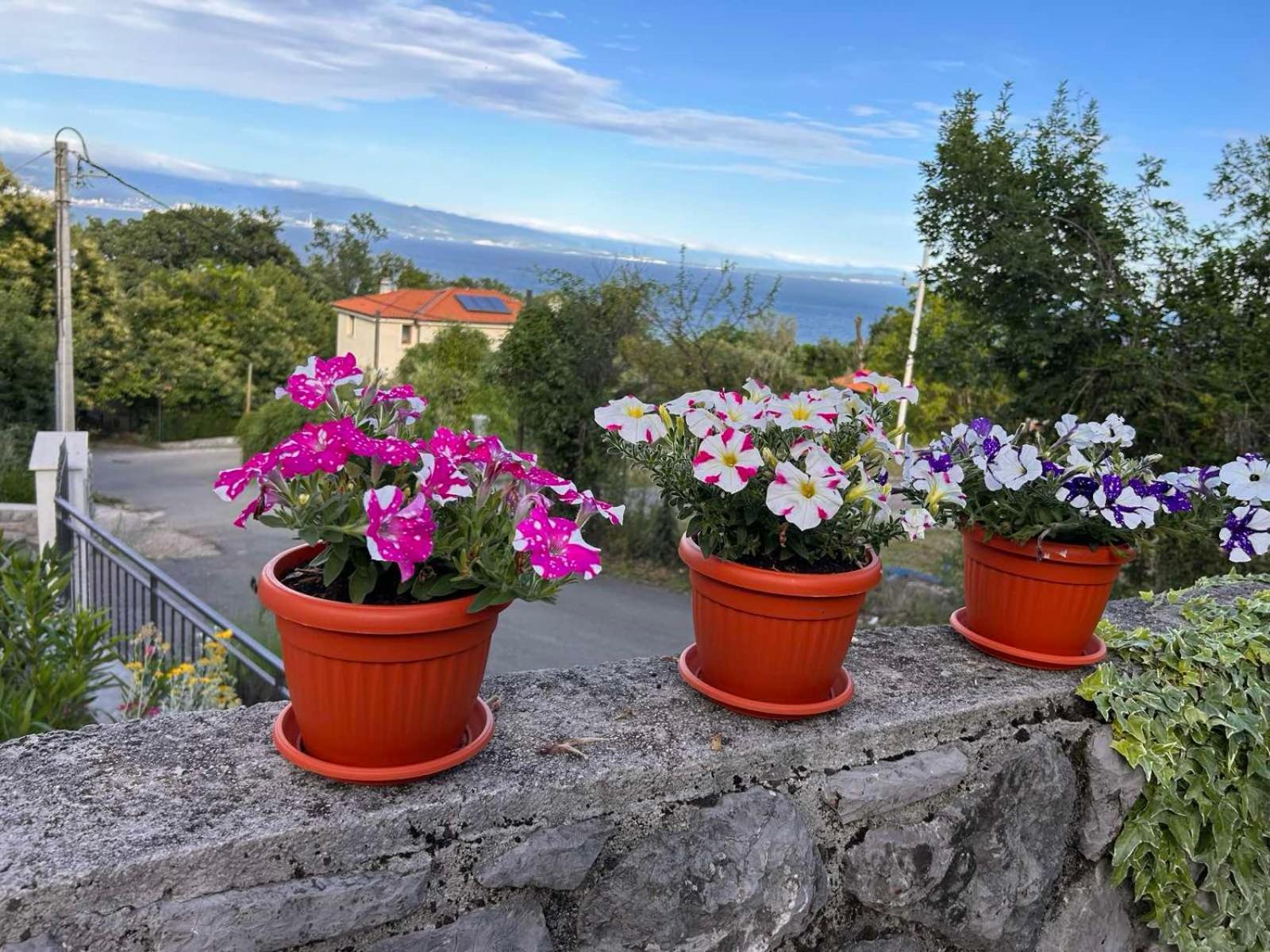 Zita Lovran Apartman